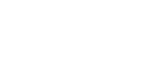 Techint Ingeniería y Construcción